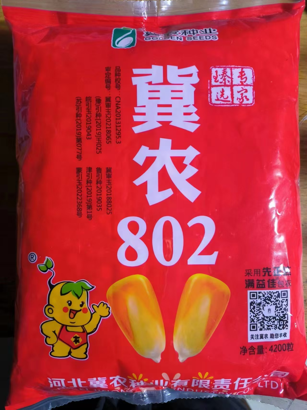 冀農(nóng)802
